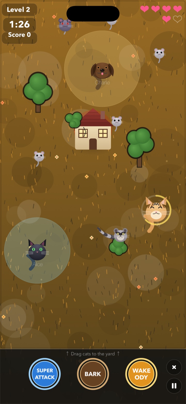 A raccoon crossing the golden-hour yard while Alice, Ody and Charlie guard the house against mice